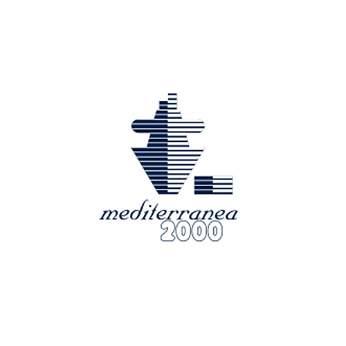 LOGO-MED-2000_OK